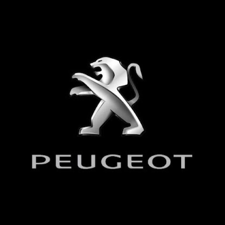 Audimas Peugeot